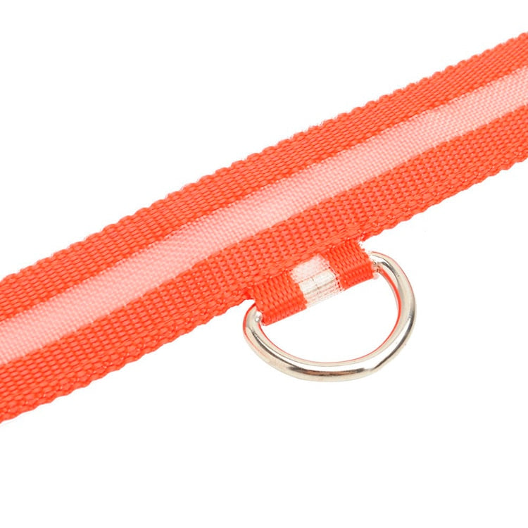 Anti-Lost USB Charging Led Dog Collar