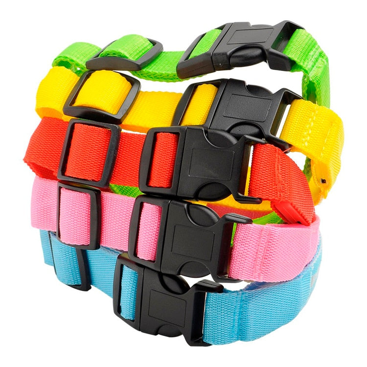 Anti-Lost USB Charging Led Dog Collar