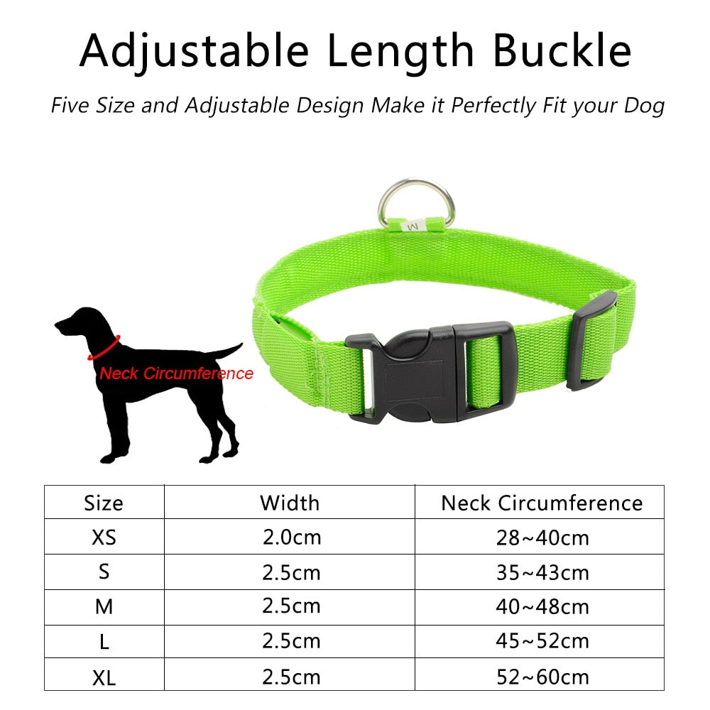 Anti-Lost USB Charging Led Dog Collar